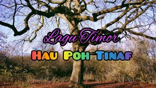 LAGU TIMOR TERBAIK || HAU POH TINAF || MTG