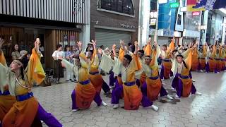 よさこい連「わ」～2017高知よさこい祭り本祭(帯屋筋)