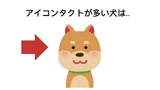 【雑学】犬が「大好きな飼い主」にだけ見せる特別な仕草や行動