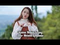 Walau Habis Terang - Peterpan cover Meisita Lomania ( Lirik )