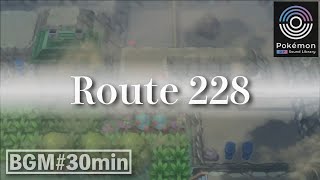 【Pokémon BGM#30min】Route 228 (Night ver.)