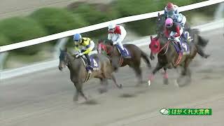 2022/3/27 佐賀競馬5R はがくれ大賞典 エイシンニシパ