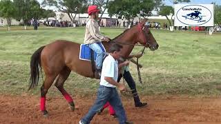 J  C  Fazenda Rio Grande   GP Pradeiros   Apresentação