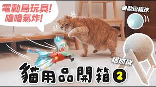 #貓用品開箱【電動鳥玩具！讓嚕嚕氣炸了！】志銘與狸貓