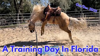 A Training Day in Florida | Oct/Dec 2021