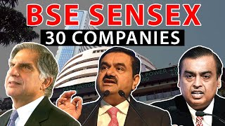 Which are the BSE SENSEX 30 Companies?