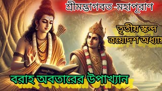 শ্রীমদ্ভাগবত-মহাপূরাণ।বরাহ অবতারের উপাখ্যান🙏 The legend of Barah Avatar।@AnitarKRISHNAKATHA1977