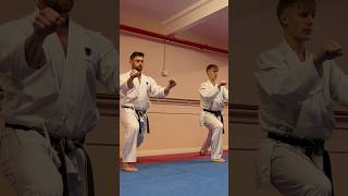 Nijushiho - Shotokan Kata #karate #kata #martialarts @nathearn