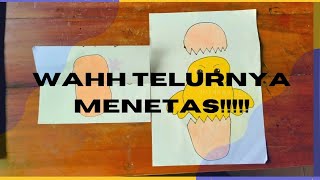 WAHH TELURNYA MENETASS!!!!