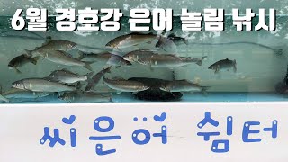 6월 경호강 은어놀림낚시 - 경호강 은어를 찾아서