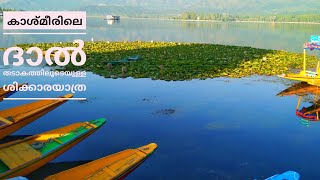 Dal lake in Kashmir, Srinagar, floating market,