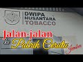 Jalan-jalan ke Pabrik Cerutu yg Terkenal di Jember Dwipa Nusantara Tobacco (DNT)