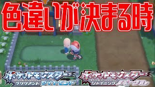 【ポケモンダイパリメイク】タマゴふかで色違いが確定するのはいつ？(タマゴ孵化)【ポケットモンスター ブリリアントダイヤモンド・シャイニングパール】Pocket Monsters