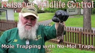 Trapping Moles with No Mol traps - Nuisance Wildlife Control - Stevens Family Outdoors