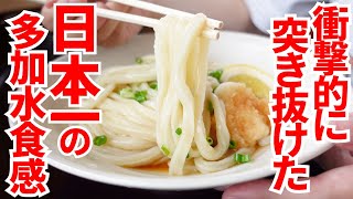 【香川一を超えて日本一‼︎ここのうどん!!マジでめちゃくちゃ美味しい!!】超多加水･超多重層‼︎異次元食感の讃岐うどんの名店【本格手打 あかみち】香川県