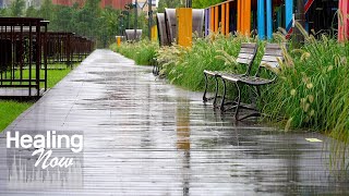 The peaceful Park scenery and Calm Rain sound. White noise, good for relaxation and sleep