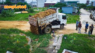 Completed Projcej remve flooded land b Dozer \u0026 5T Truck to unloading stone