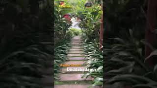 Aadhya Resort || Doddaballapur || Bangalore Dairies #travelling #pvshorts #baby #tredingshorts