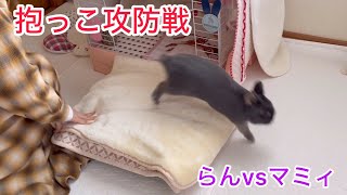 諦めないふたり/攻防戦 #抱っこ #うさぎ