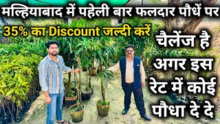 मल्हियाबाद में पहेली बार फलदार पौधें पर 35% का Discount जल्दी करें | online nursery in india