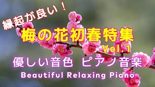 【BGM】🌸縁起の良い梅の花 初春特集🌸あなたの大切なかたに聴かせてあげたくなるロマンチックな旋律🌸心地いいリラックス音楽 #リラックス #癒し #ヒーリング