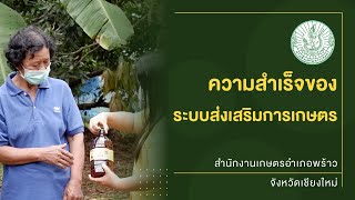 ความสำเร็จของการดำเนินงานตามระบบส่งเสริมการเกษตร ปี 2565 สำนักงานเกษตรอำเภอพร้าว จ.เชียงใหม่