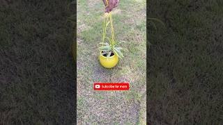 #rope #pot #hanger #garden #diy #art #viral #lifehack #trending #climbing #gardening #plants #decor