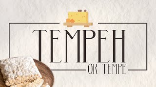 What is Tempeh | Tempeh as a flavorful, vegan meat substitute | SoyBoy Tempeh