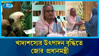 একটি গাছ কাটলে তিনটি গাছ লাগানোর তাগিদ দিলেন প্রধানমন্ত্রী শেখ হাসিনা | PM | Rtv News