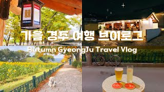 [ 가을 경주 여행 브이로그 l Autumn GyeongJu Travel Vlog ] 황리단길 • 호텔 • 맛집 • 카페 • 강아지 • 2박3일 • 통합편