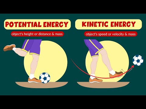 What are 5 kinetic energy examples?