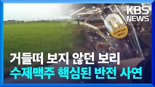 거들떠 보지 않던 보리....수제맥주 핵심된 반전 사연 / KBS  2023.05.02.