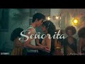 Shawn Mendes, Camila Cabello - Señorita (DJ Tronky Bachata Remix)