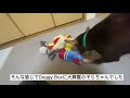 保護犬初めてのdoggy boxに大興奮！！♯7