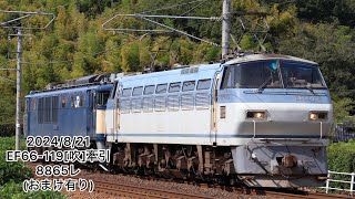 【EF66】EF66-119+EF64-1039ムド 8865レ (おまけ動画付き)