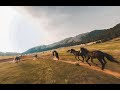 Fpv drone cinematic horses chasing