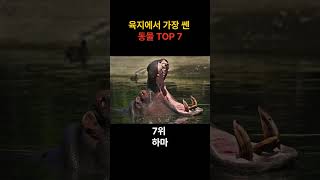 육지에서 가장 쎈 동물 TOP 7