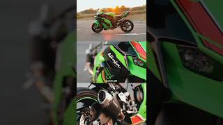 NINJA ZX10R SEXY WHEELIE😈🔥#shorts #motovlog #ninja #zx10r #superbike