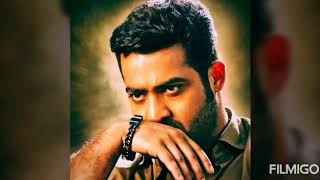 JR NTR SPECIAL SONG FANS