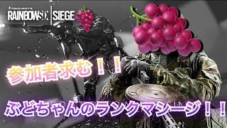 【R6S】参加ok!! ランク行くぞおおおおお！！！【初見よこい】