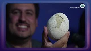 Scientists Find PERFECT 70-Million-Year-Old Dinosaur Egg!