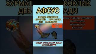 Афсуски бу хакикат #hammaga_qiziq #обуна_булинг #bilib_oling #animals  #янги_видео #обуна_булинг