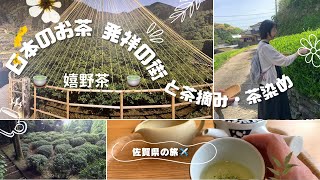 お茶と出会う旅✈️Vlog1【佐賀旅】