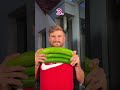 guess how many cucumbers this challenge took shorts