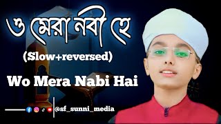 Woh Mera Nabi Hai | ও মেরা নবী হে | Syed HassanUllah Hussaini | Muhammad Shaffan |Muhammad Junaid