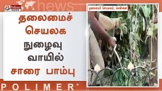 தலைமைச்செயலக நுழைவு வாயில் பகுதியில் சாரை பாம்பு பிடிபட்டது