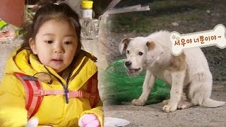 서우, 자기보다 강아지를 더 챙기는 예쁜 마음씨 “내 사랑 춘향” @오! 마이 베이비 110회 20160423