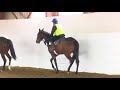 pegasus13（アドレ）2018年春調教動画