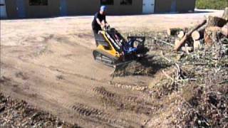 Branch Manager Rake-Sweeping
