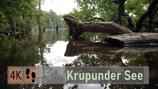 【4K】Relaxing Forest Walk at Krupunder See | Halstenbek 🇩🇪